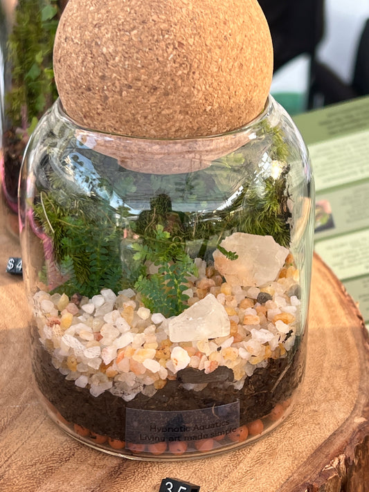Terrarium 842