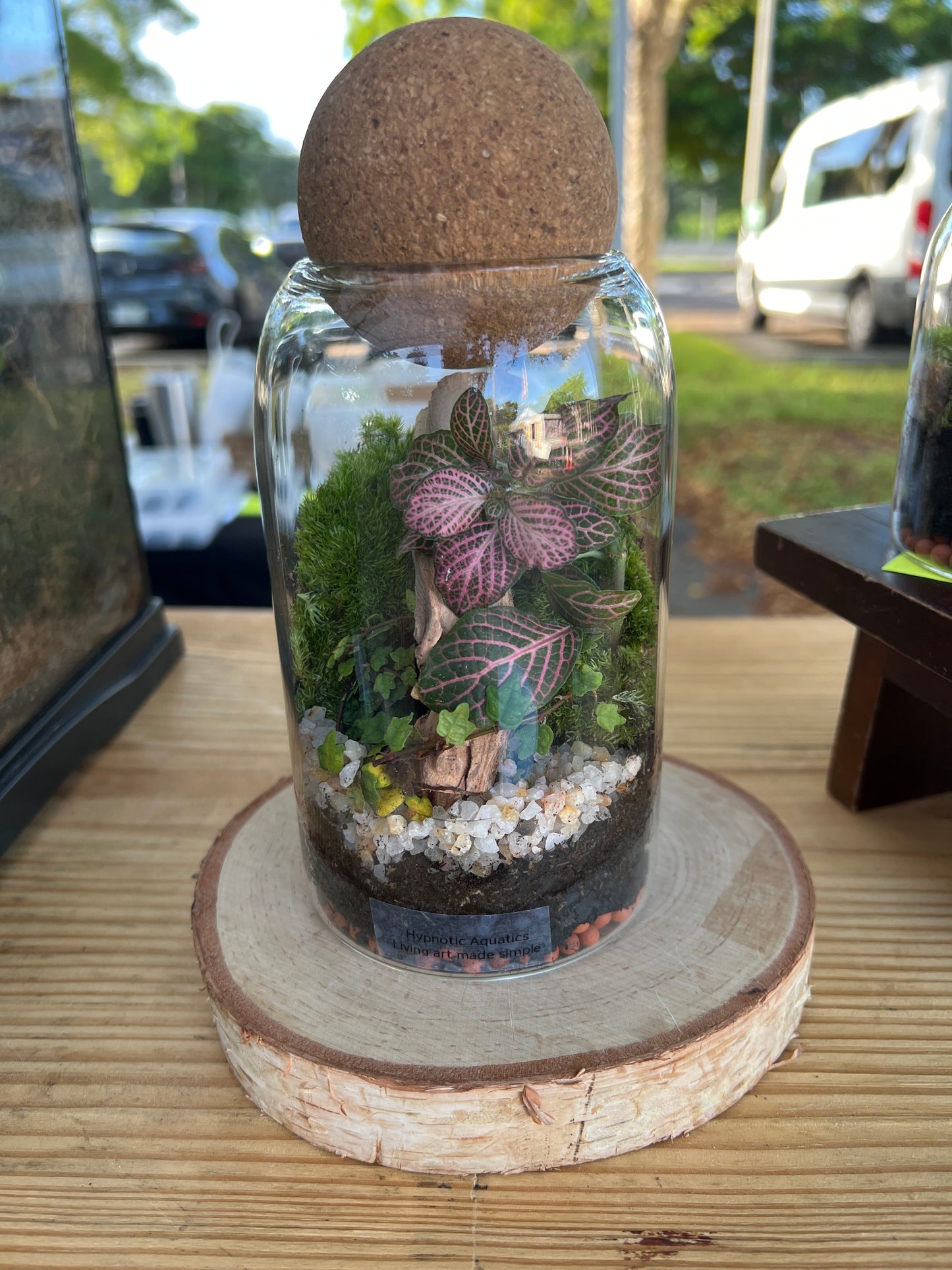 Terrarium 931