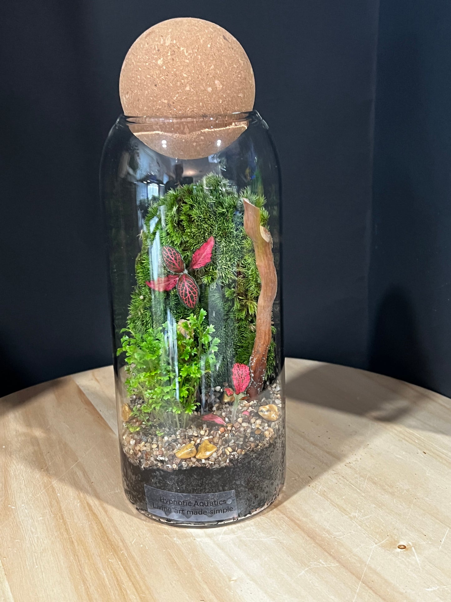 Terrarium 903