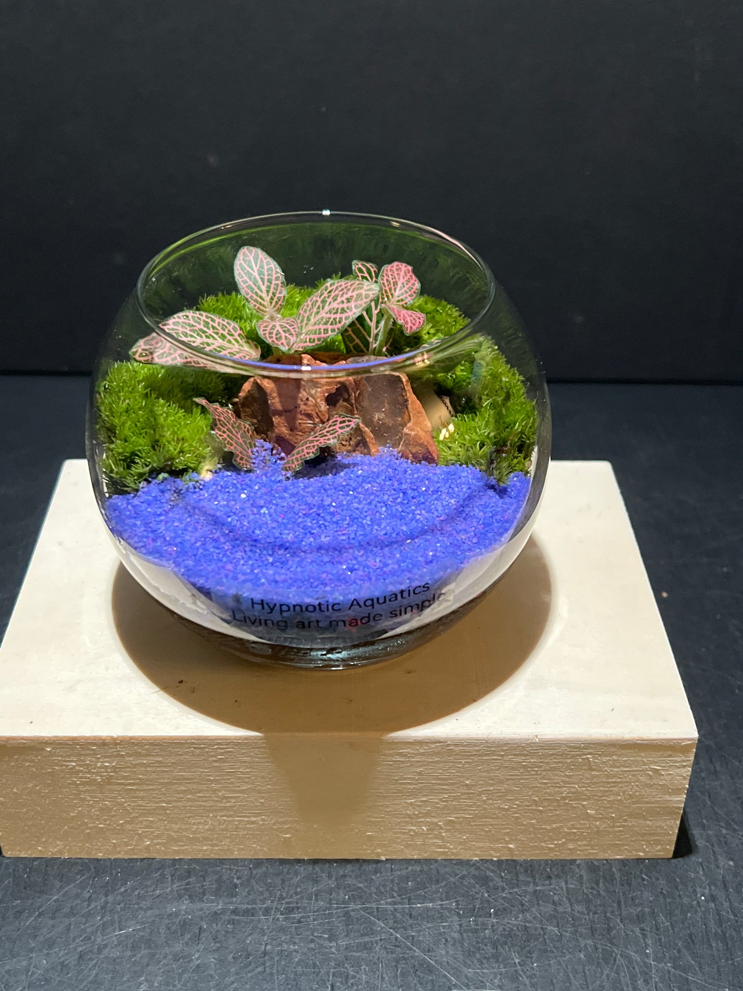 Terrarium 232