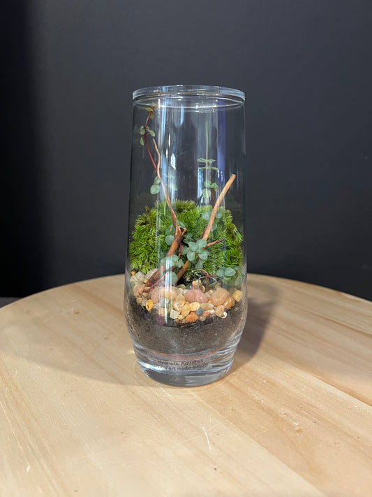 Terrarium 915