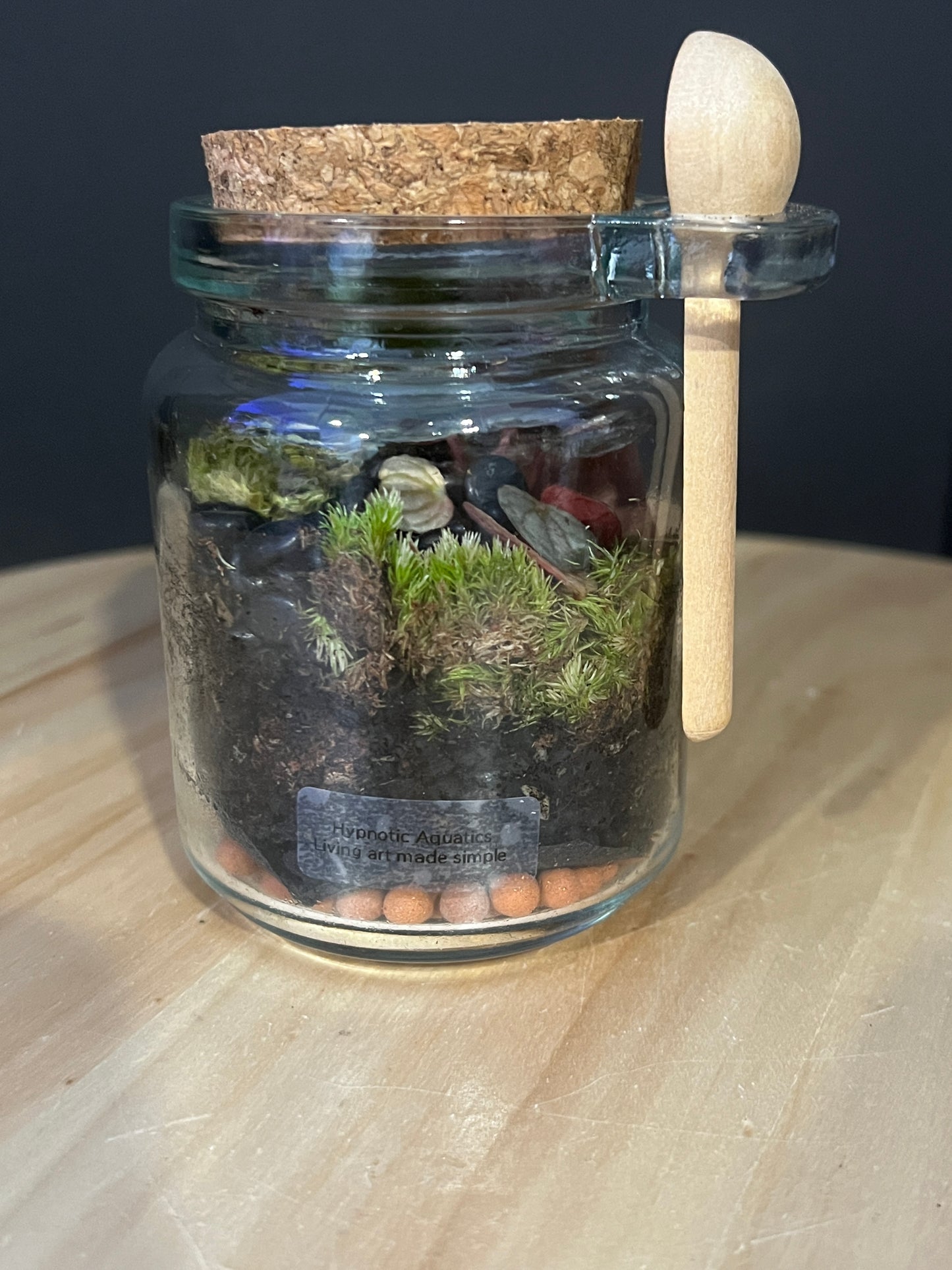 Terrarium 829