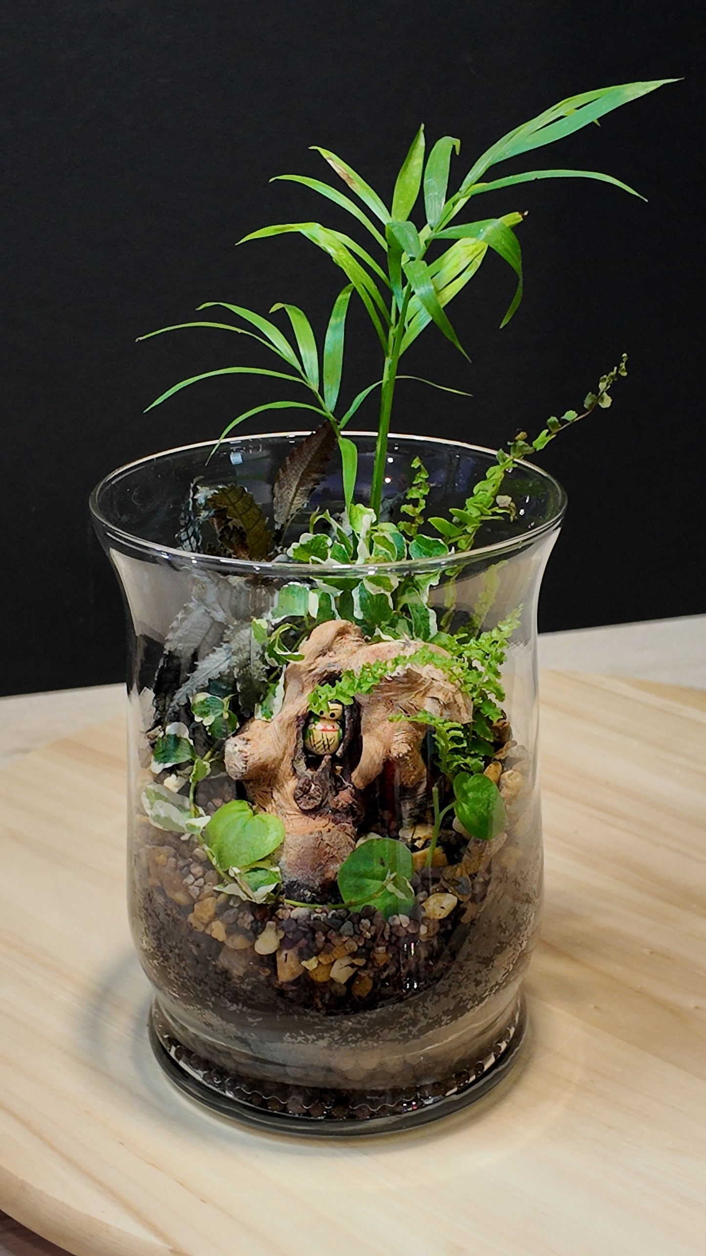 Terrarium #16