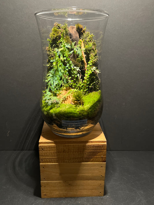 Terrarium #95