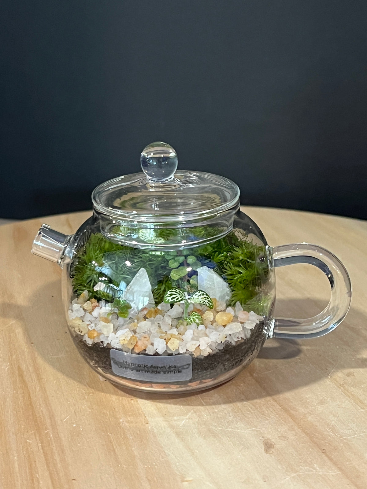 Terrarium 975