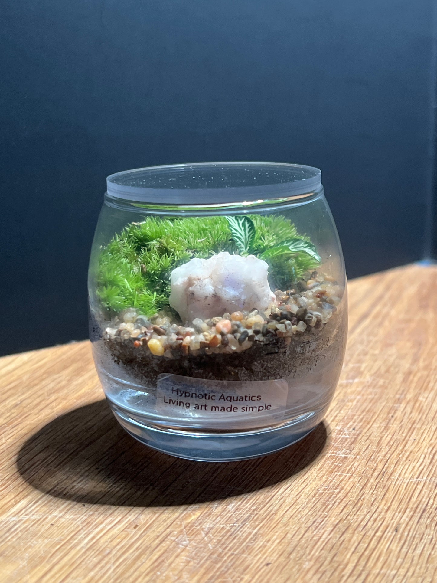 Terrarium 530