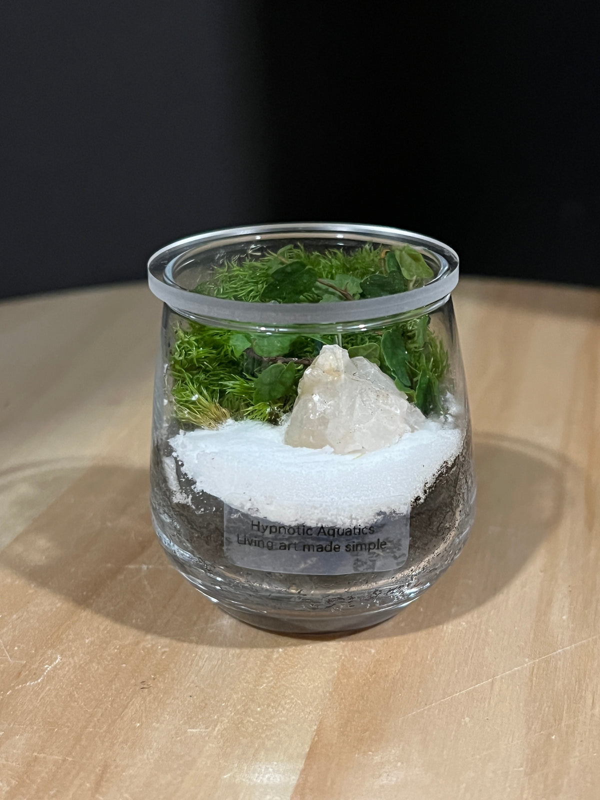 Terrarium 957