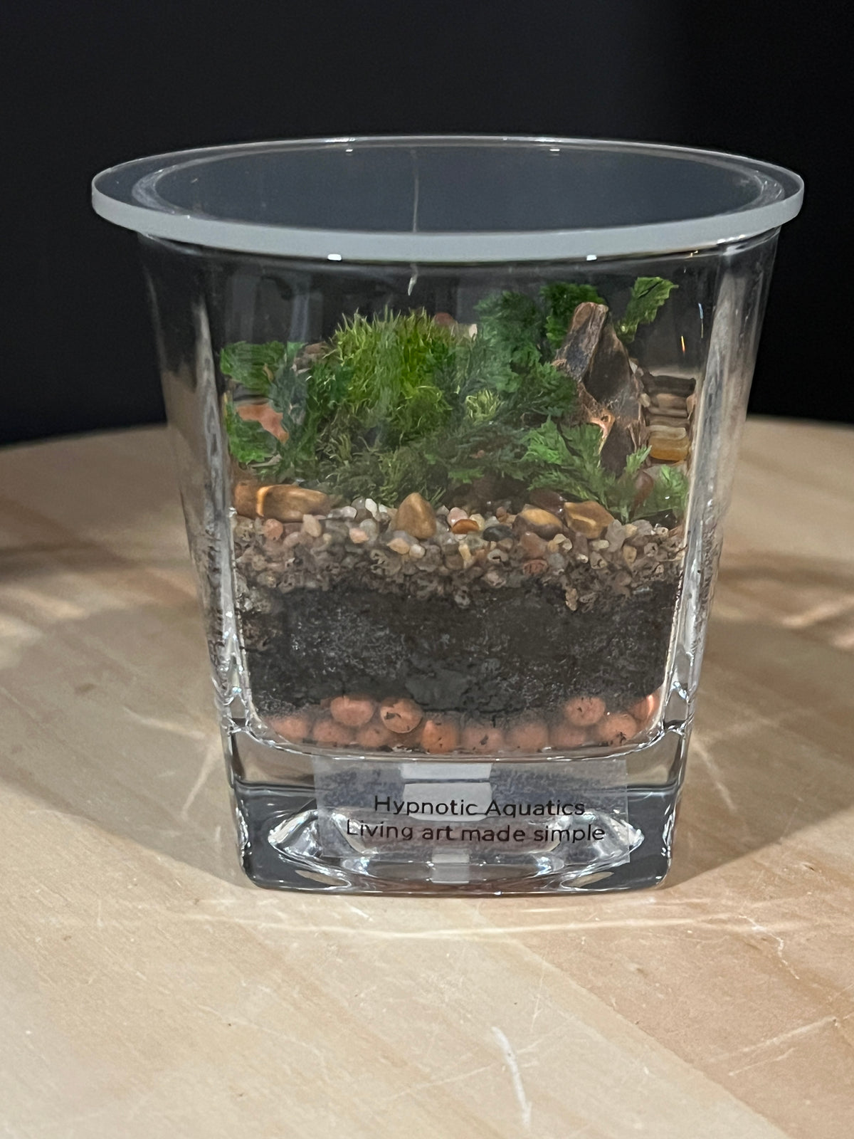 Terrarium 950