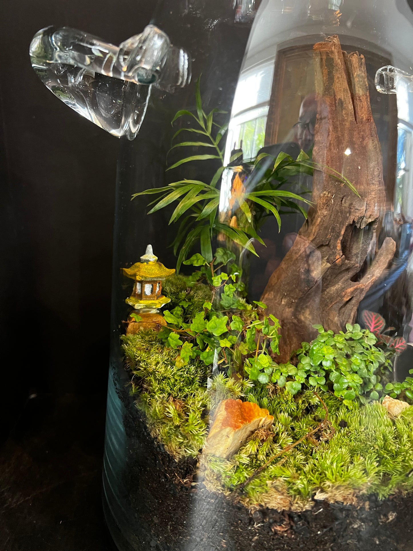 Terrarium 876