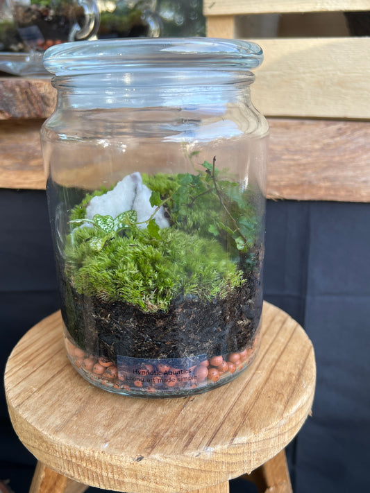 Terrarium 776