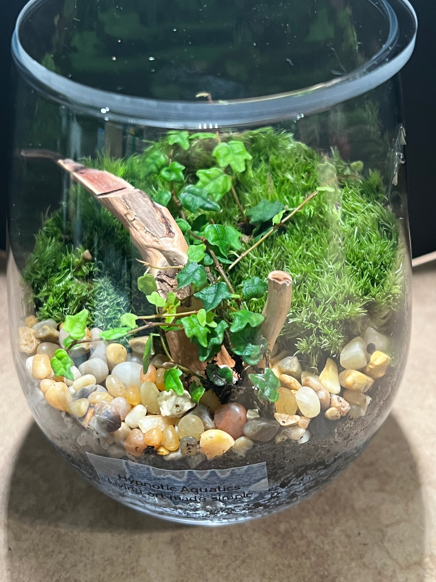 Terrarium 855