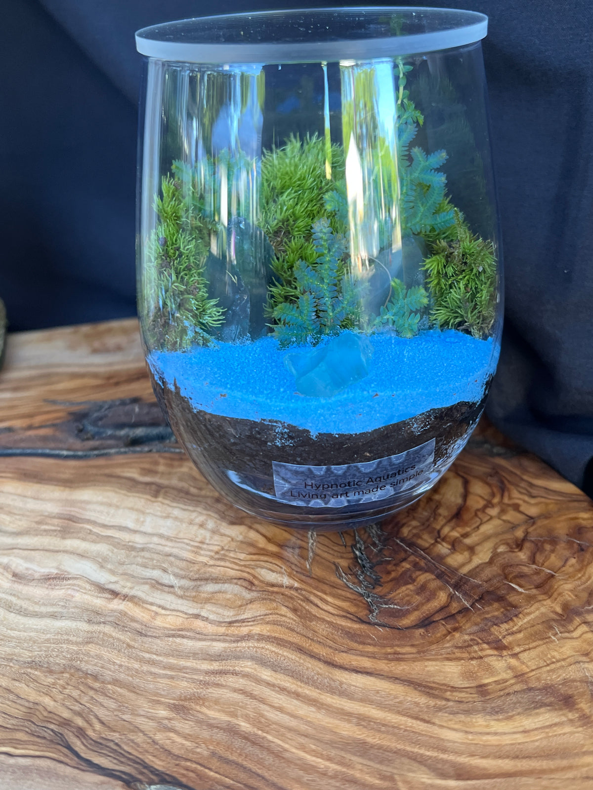 Terrarium 939