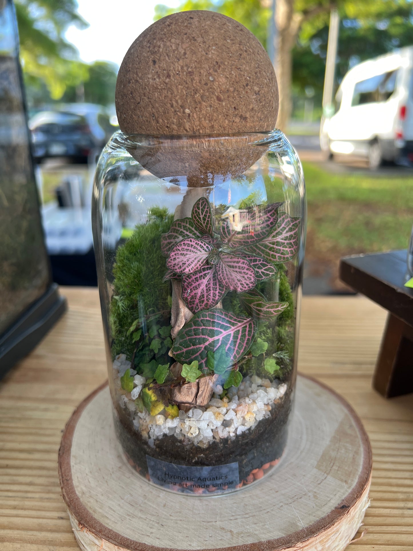 Terrarium 931