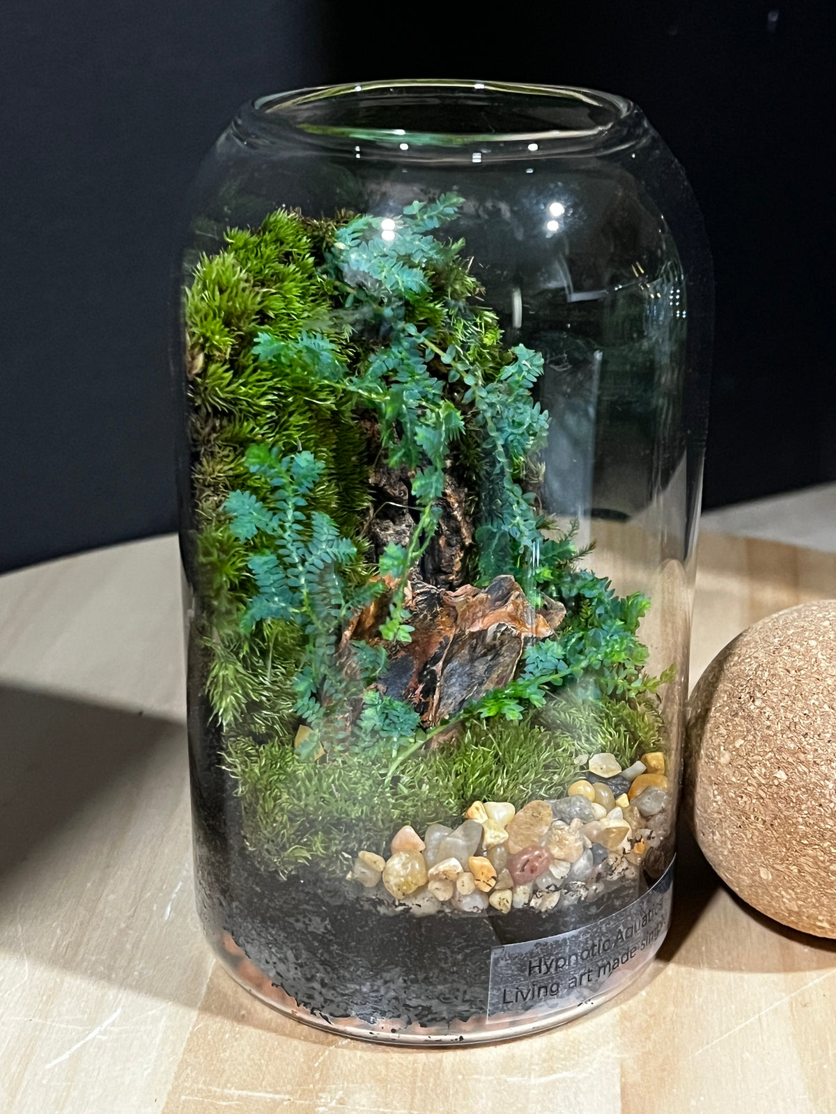 Terrarium 955