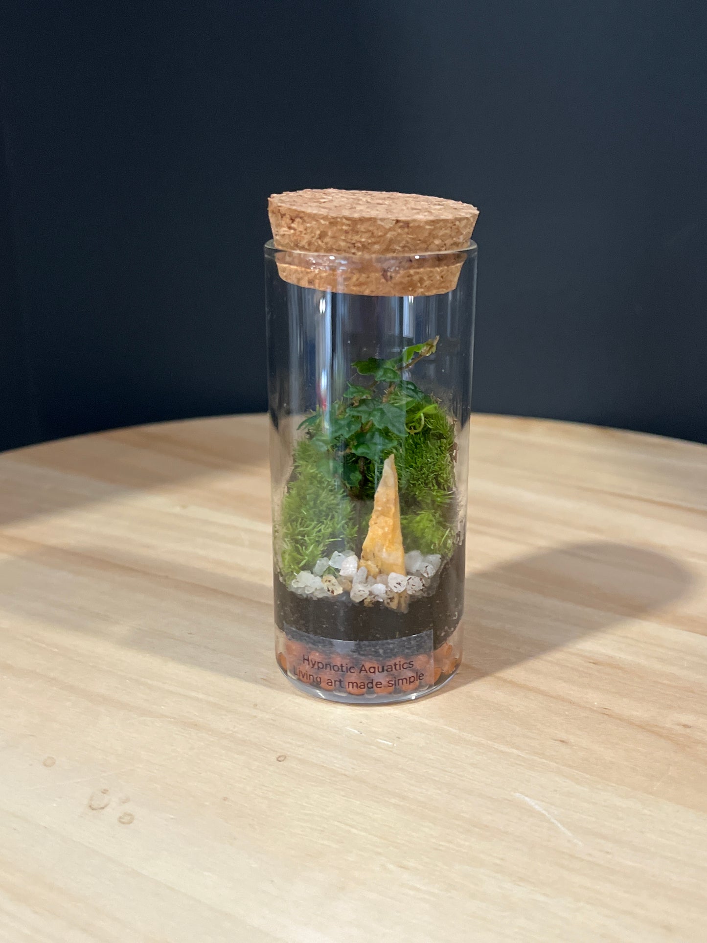 Terrarium 725