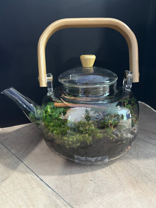 Terrarium 891