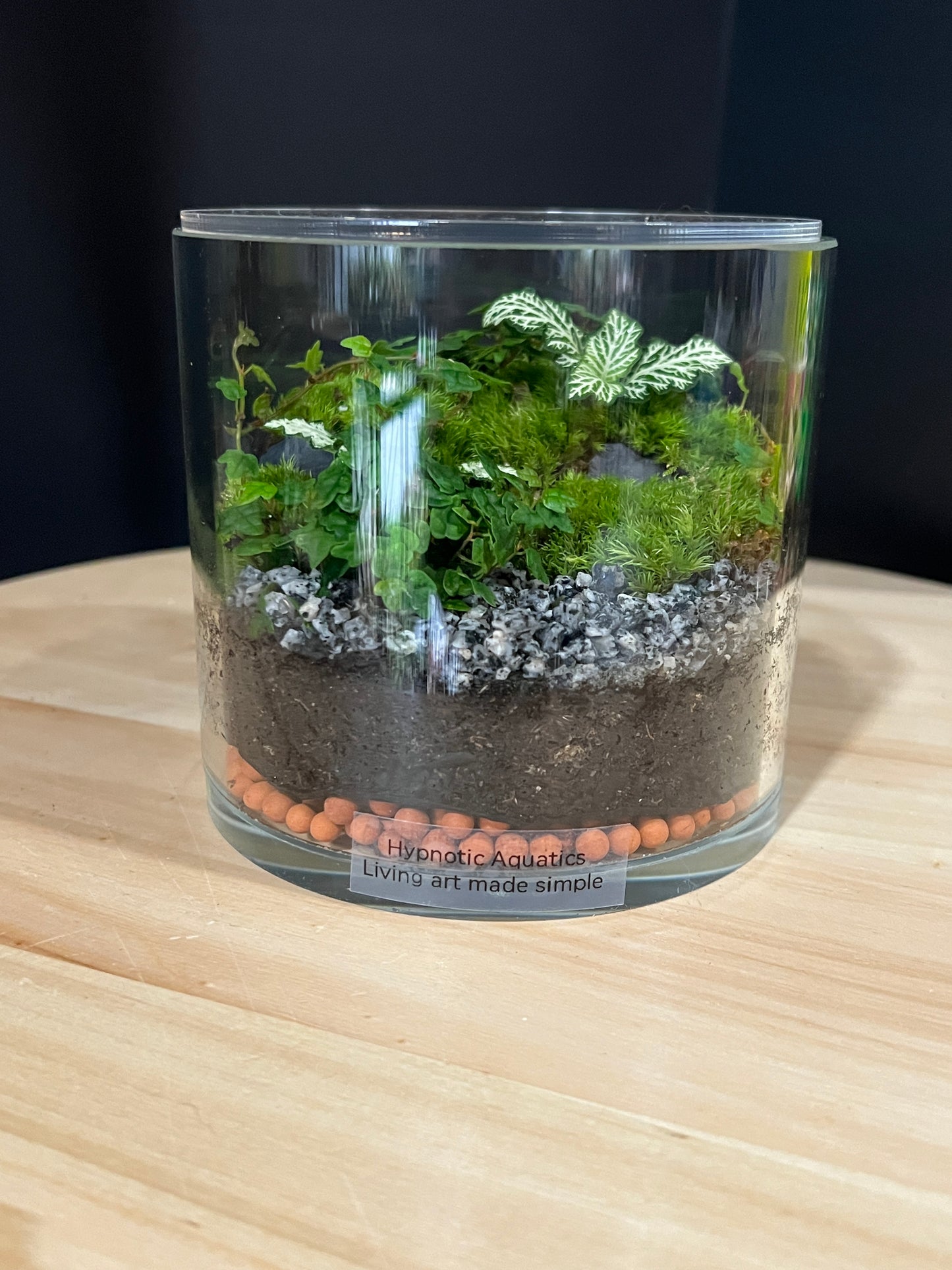 Terrarium 908