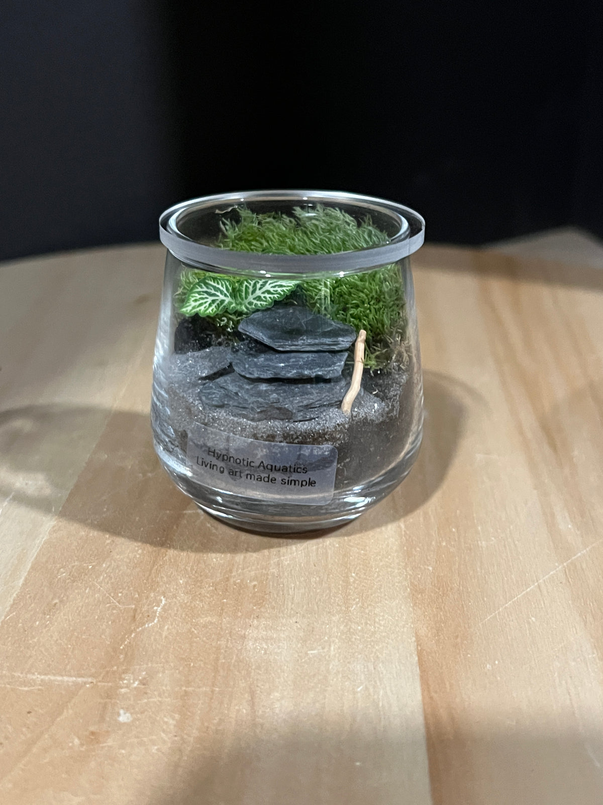 Terrarium 959