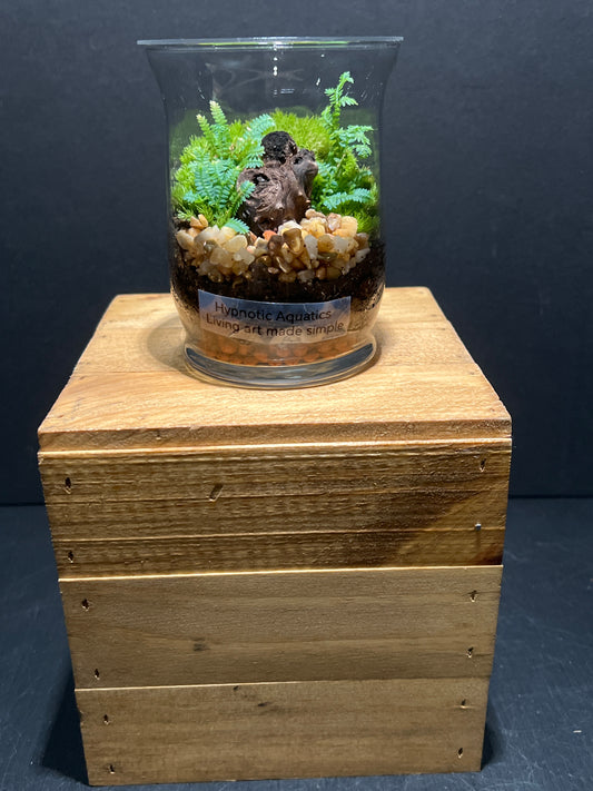 Terrarium #99