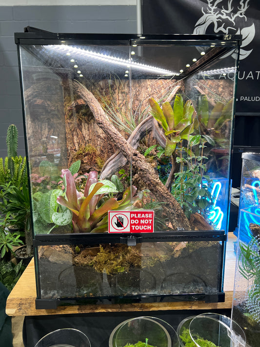 Terrarium 18x18x24 Tropical