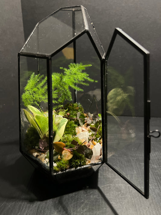 Terrarium 357
