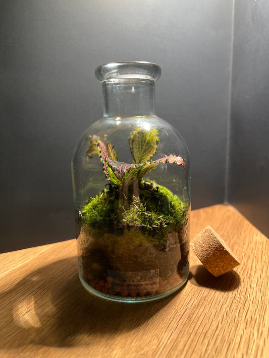 Terrarium 532