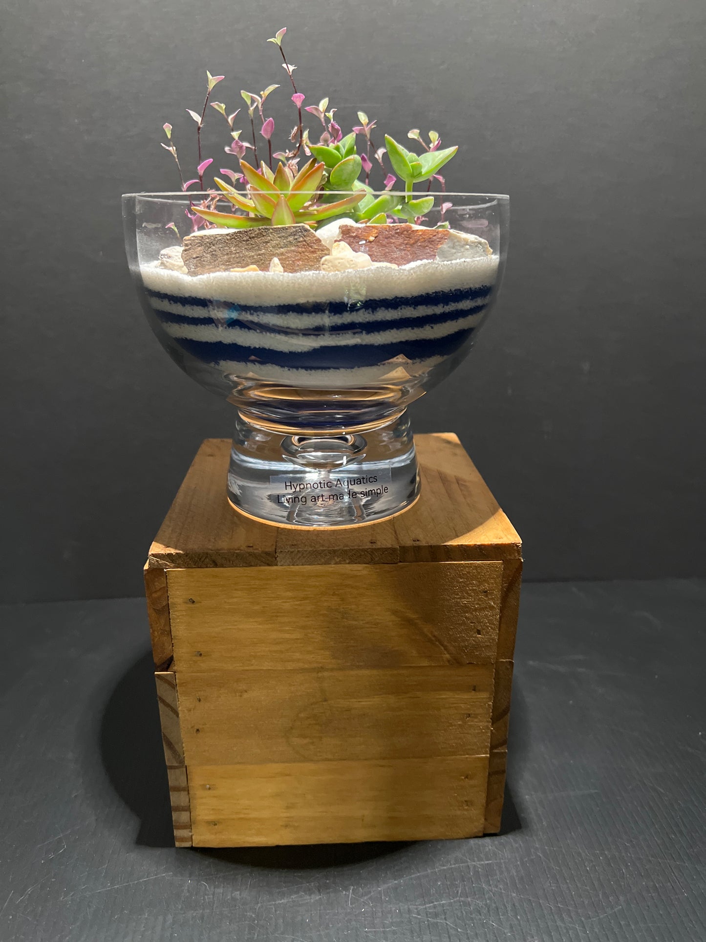 Terrarium #68