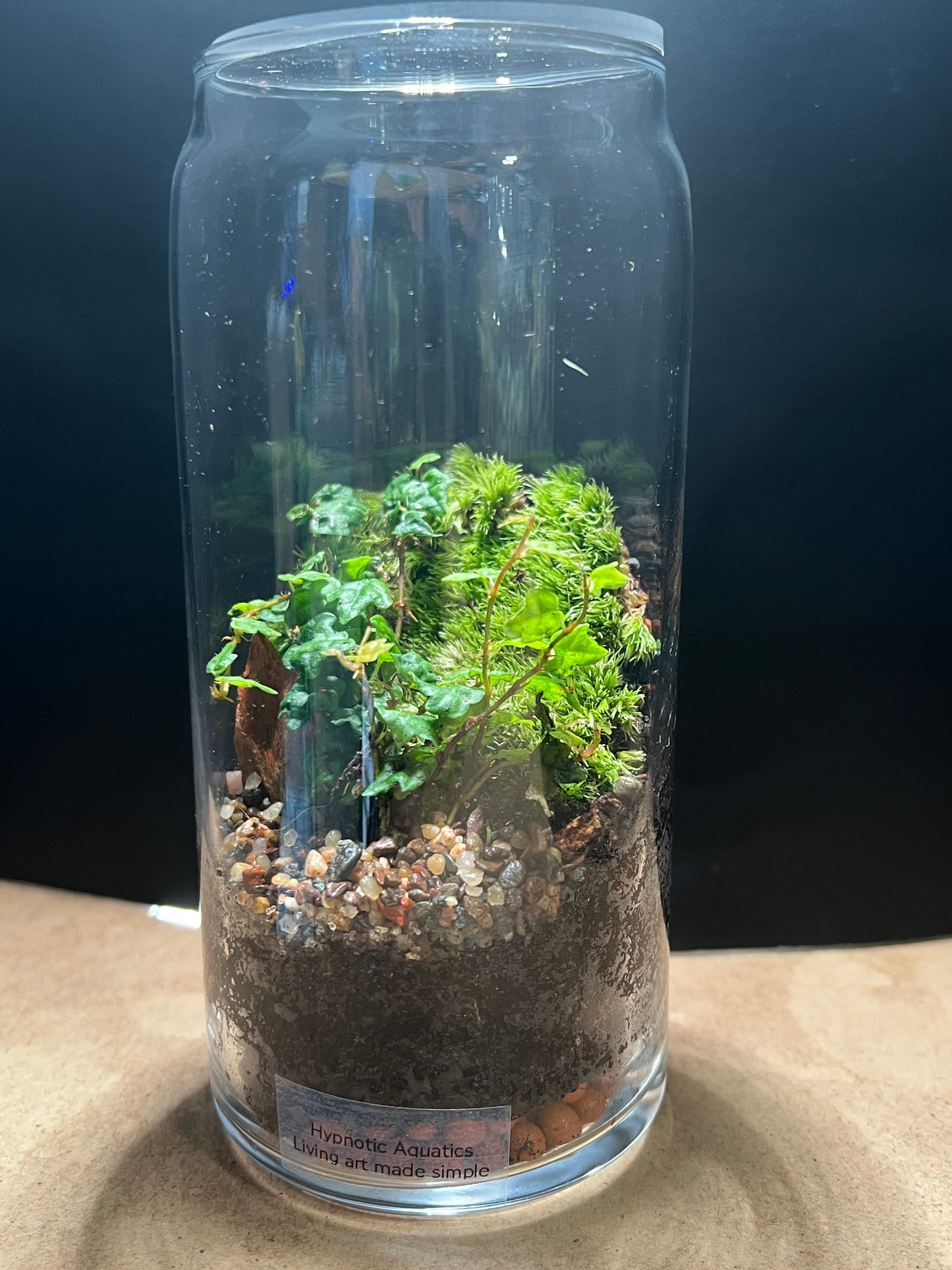 Terrarium 850