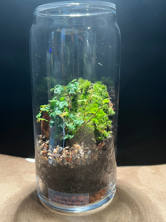 Terrarium 850