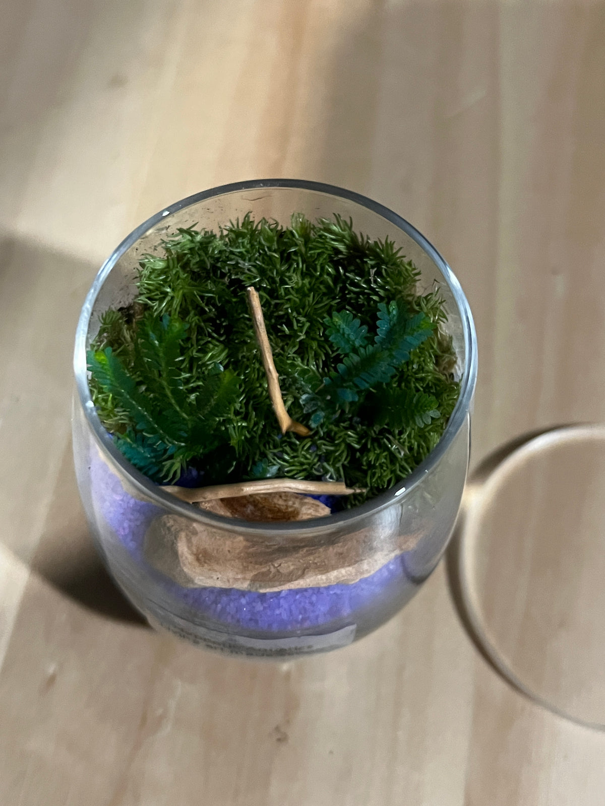 Terrarium 958