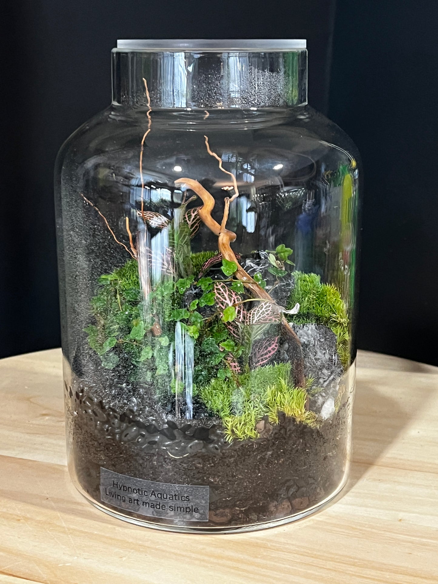Terrarium 907