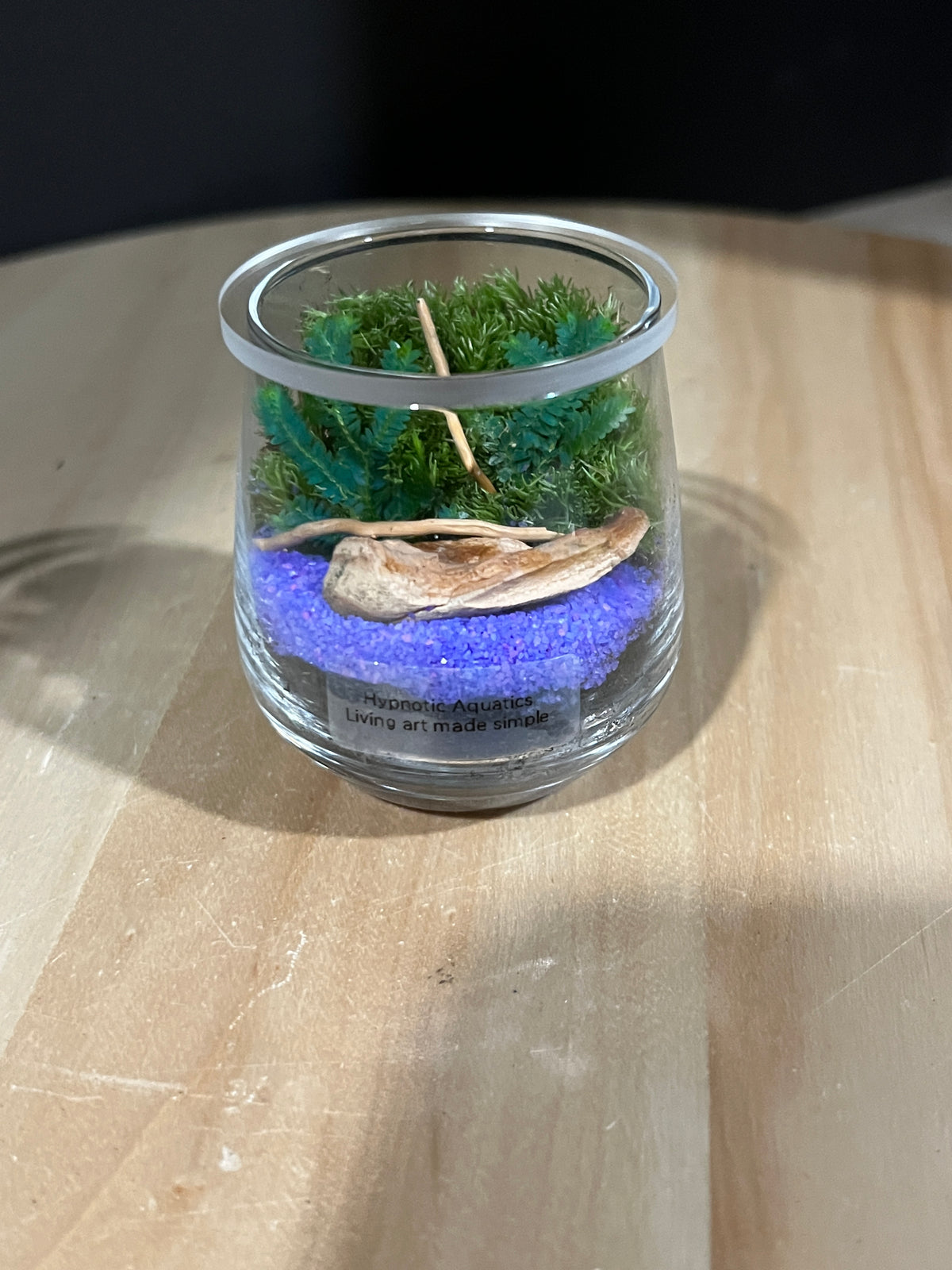 Terrarium 958