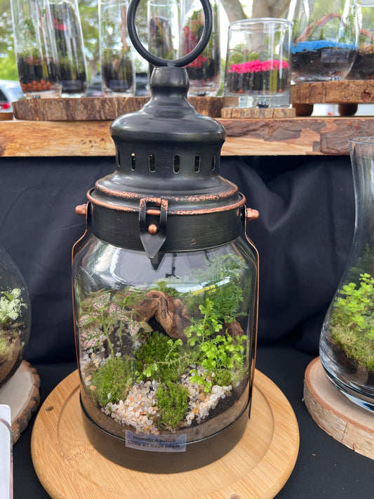 Terrarium 860