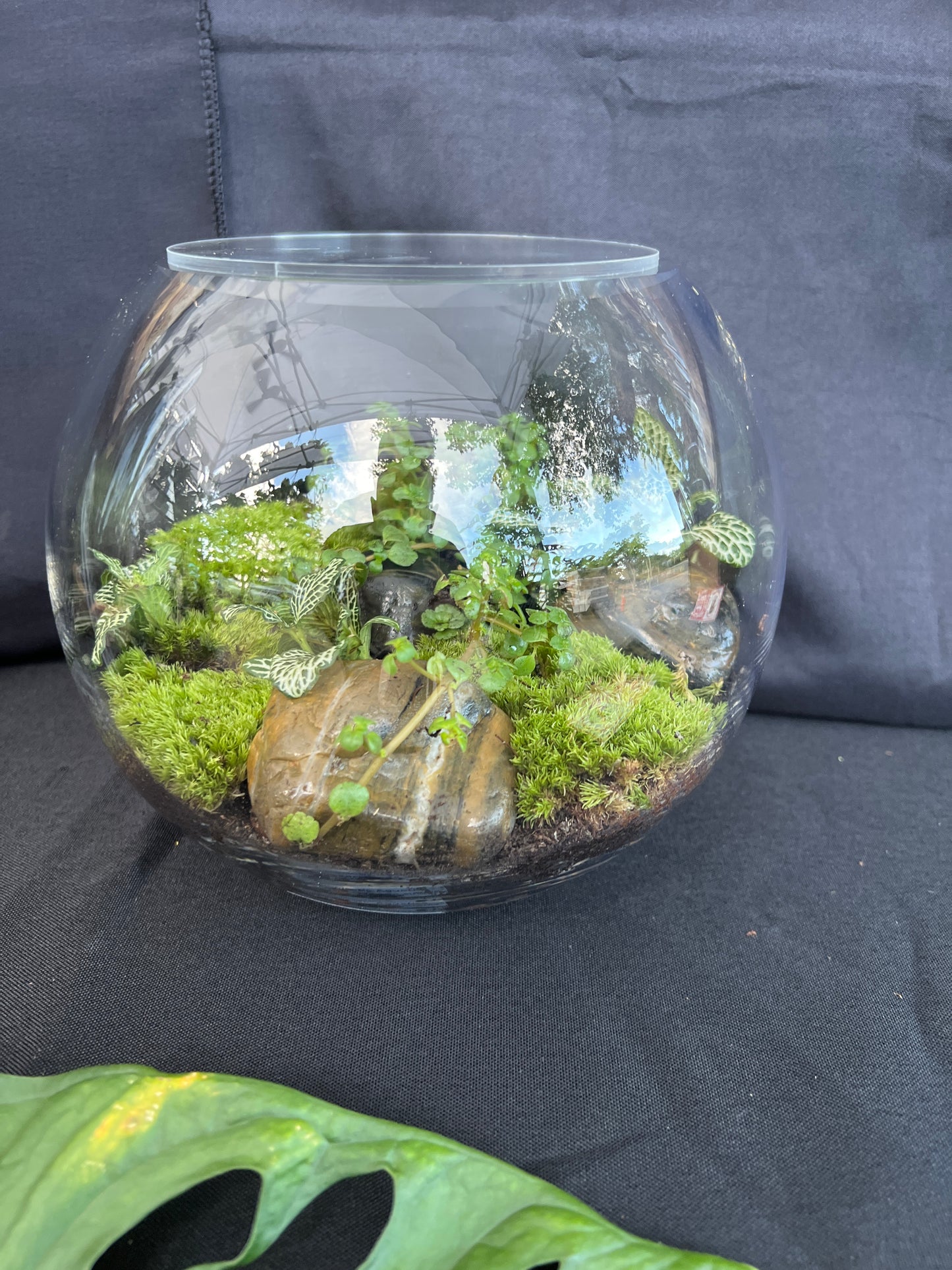Terrarium 934