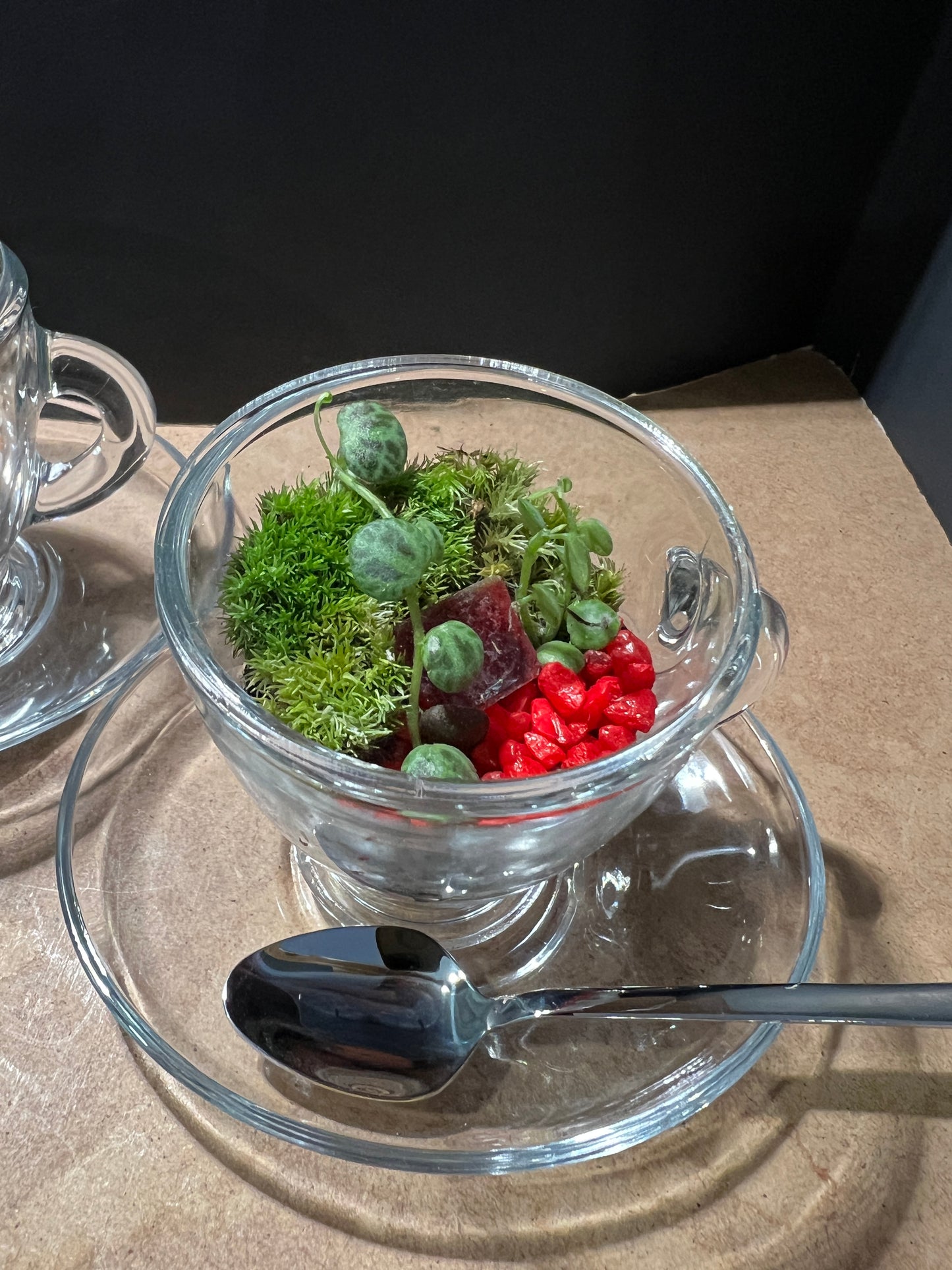 Terrarium 839 (seti)