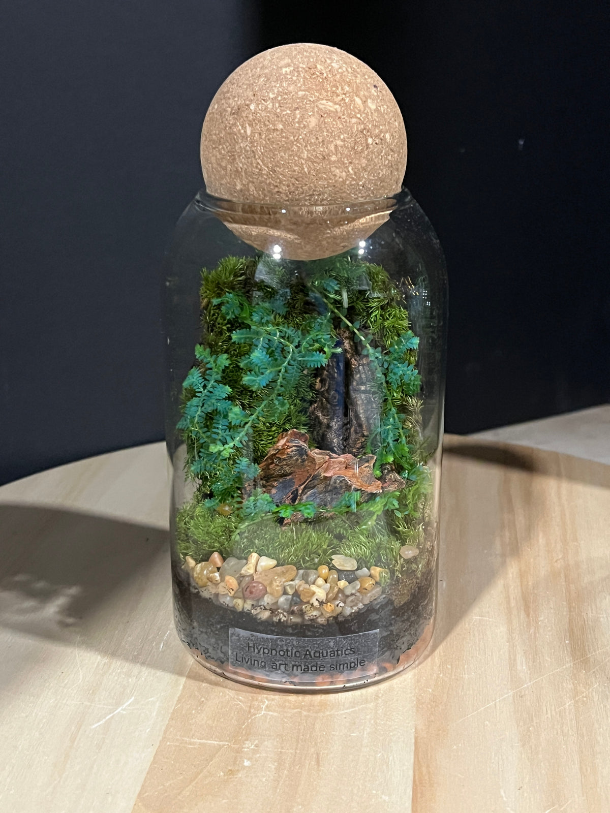 Terrarium 955