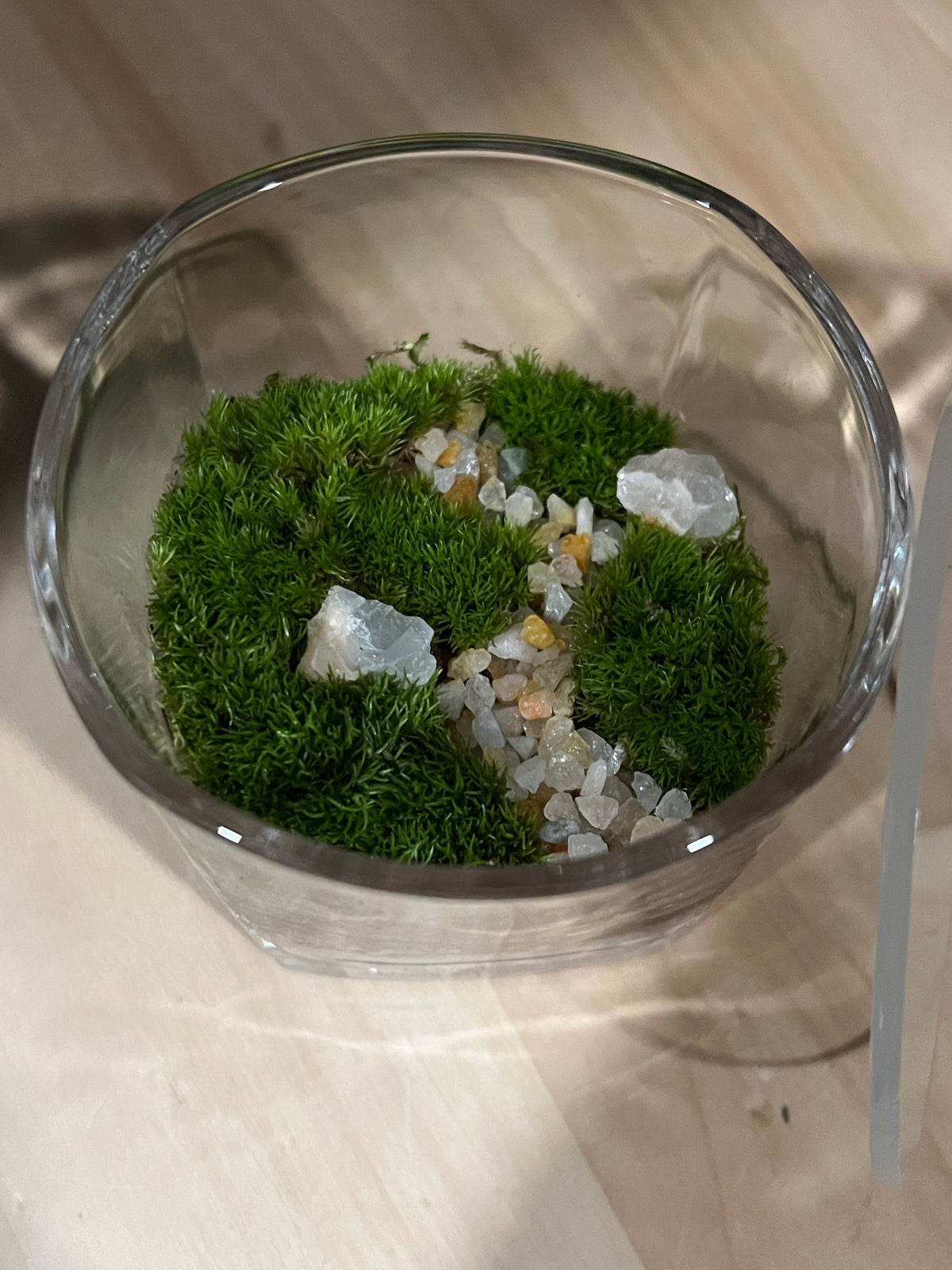 Terrarium 949