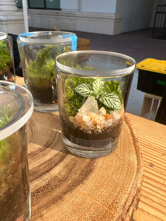 Terrarium 870