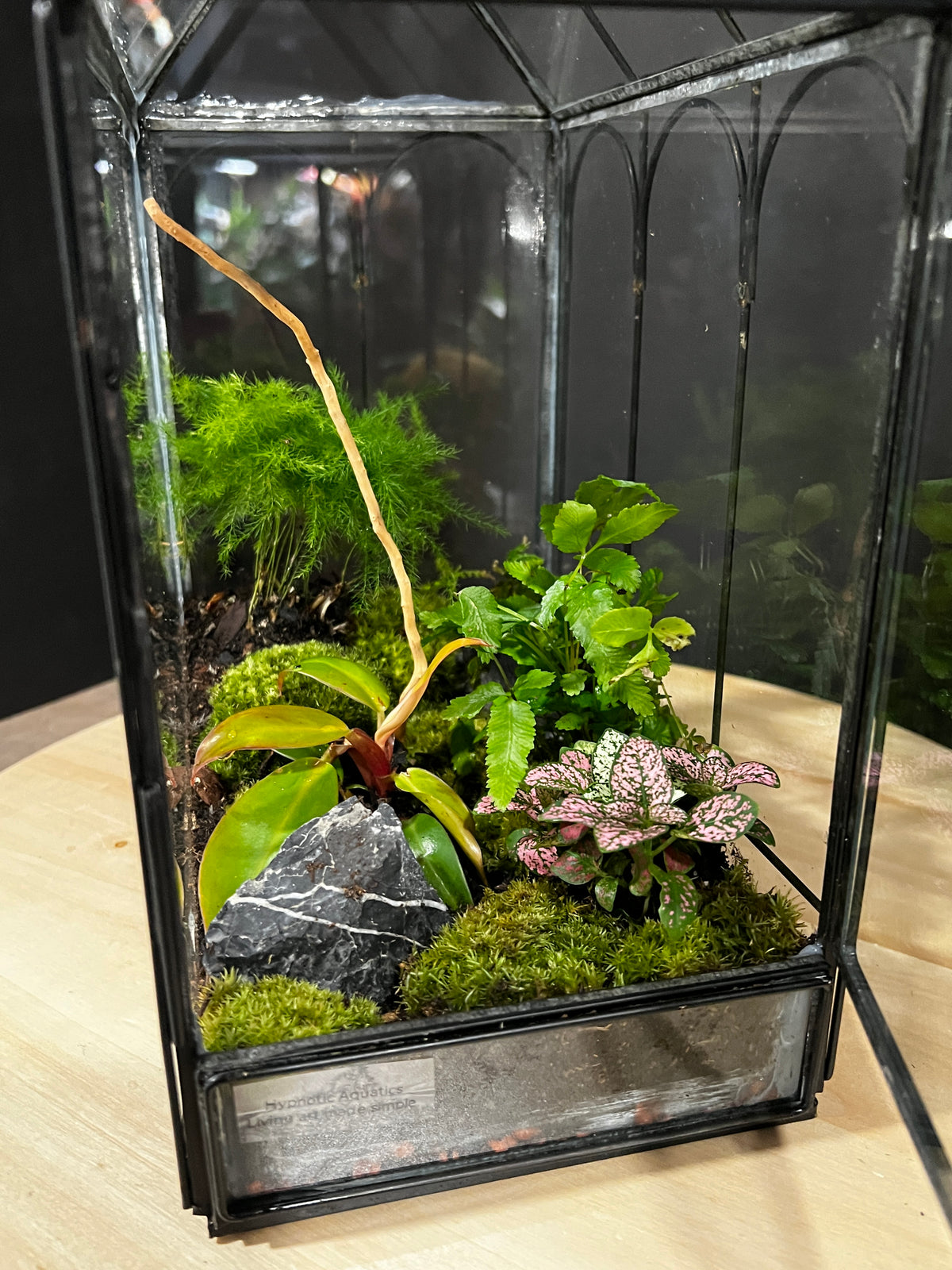 Terrarium 996