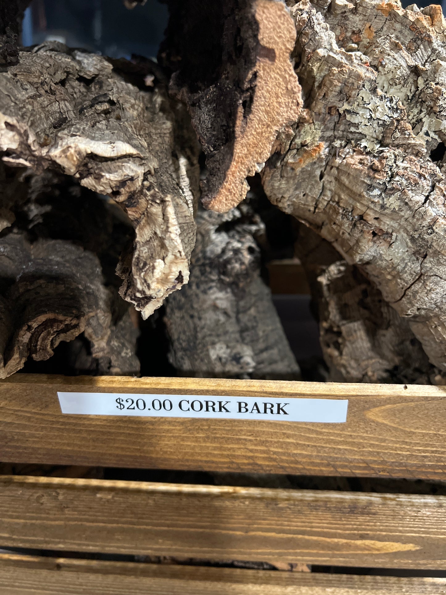 Cork Bark Medium