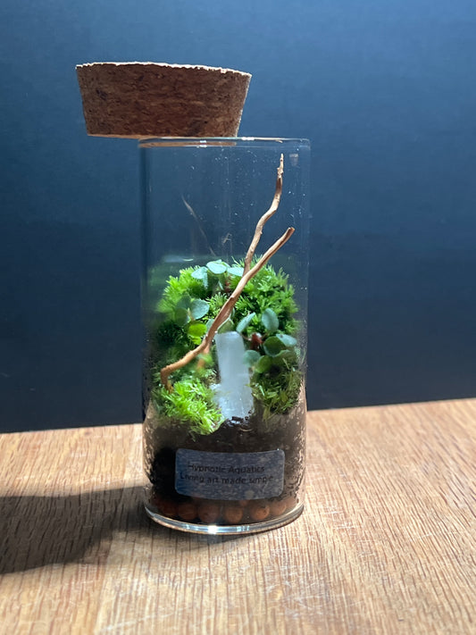 Terrarium 512