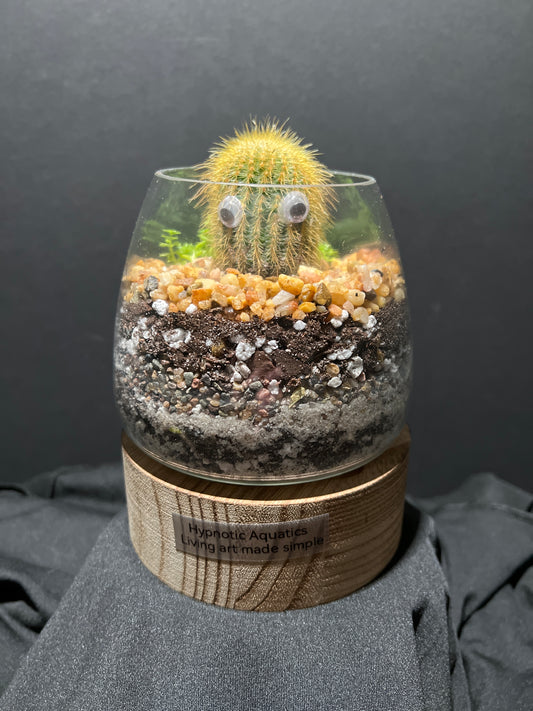 Terrarium #47