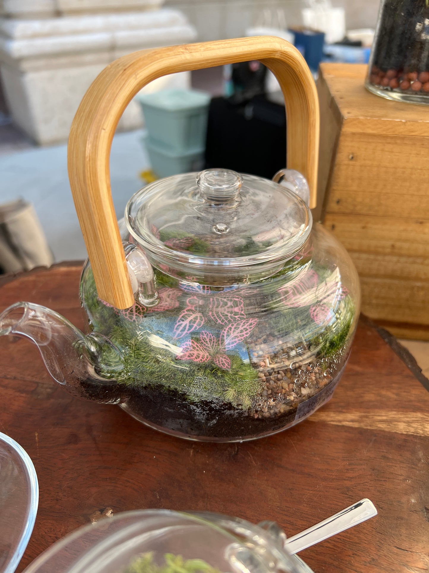 Terrarium 857