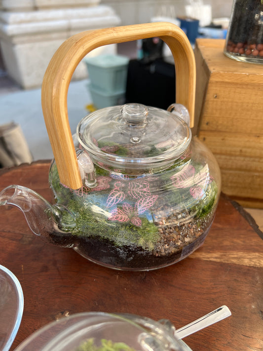 Terrarium 857