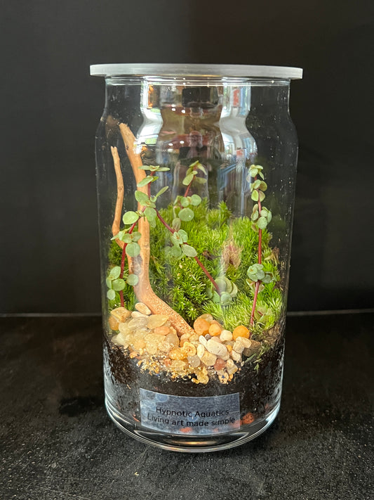 Terrarium 875