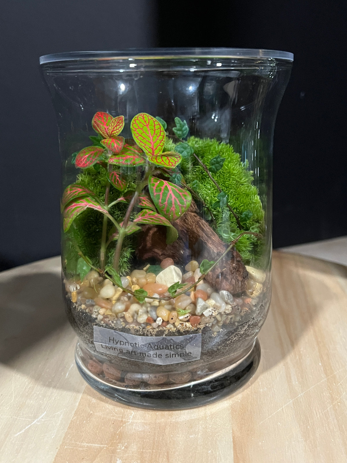Terrarium 960