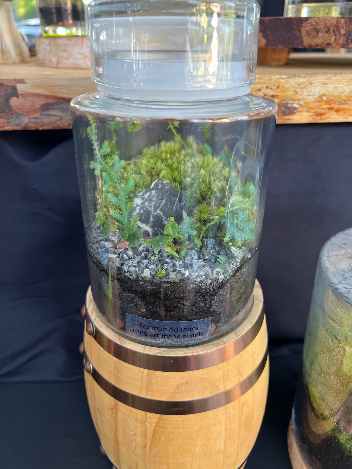 Terrarium 938