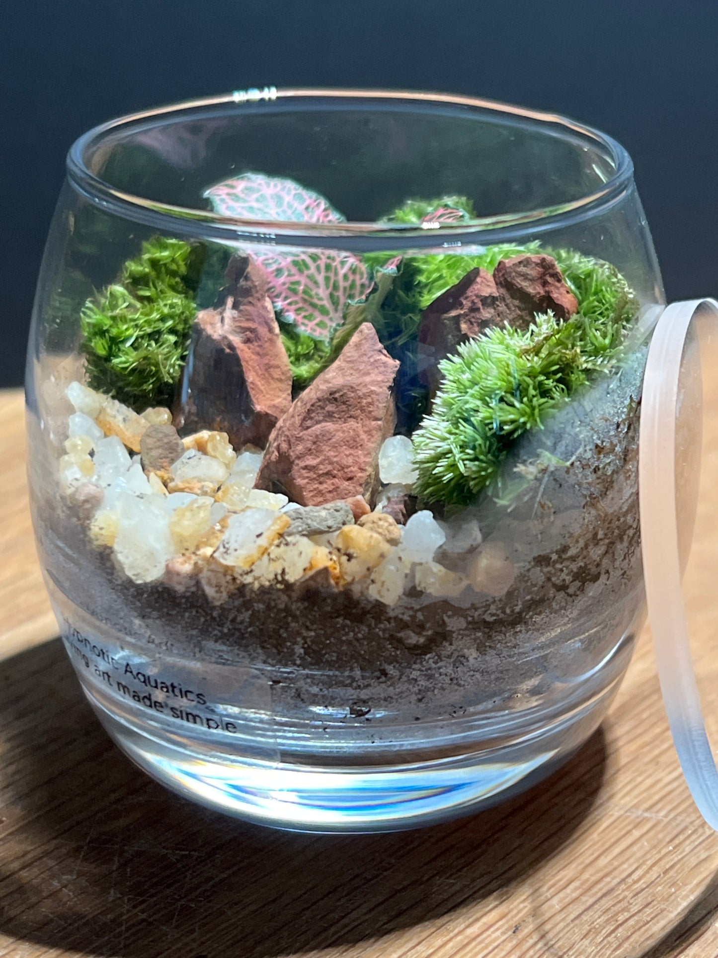 Terrarium 528