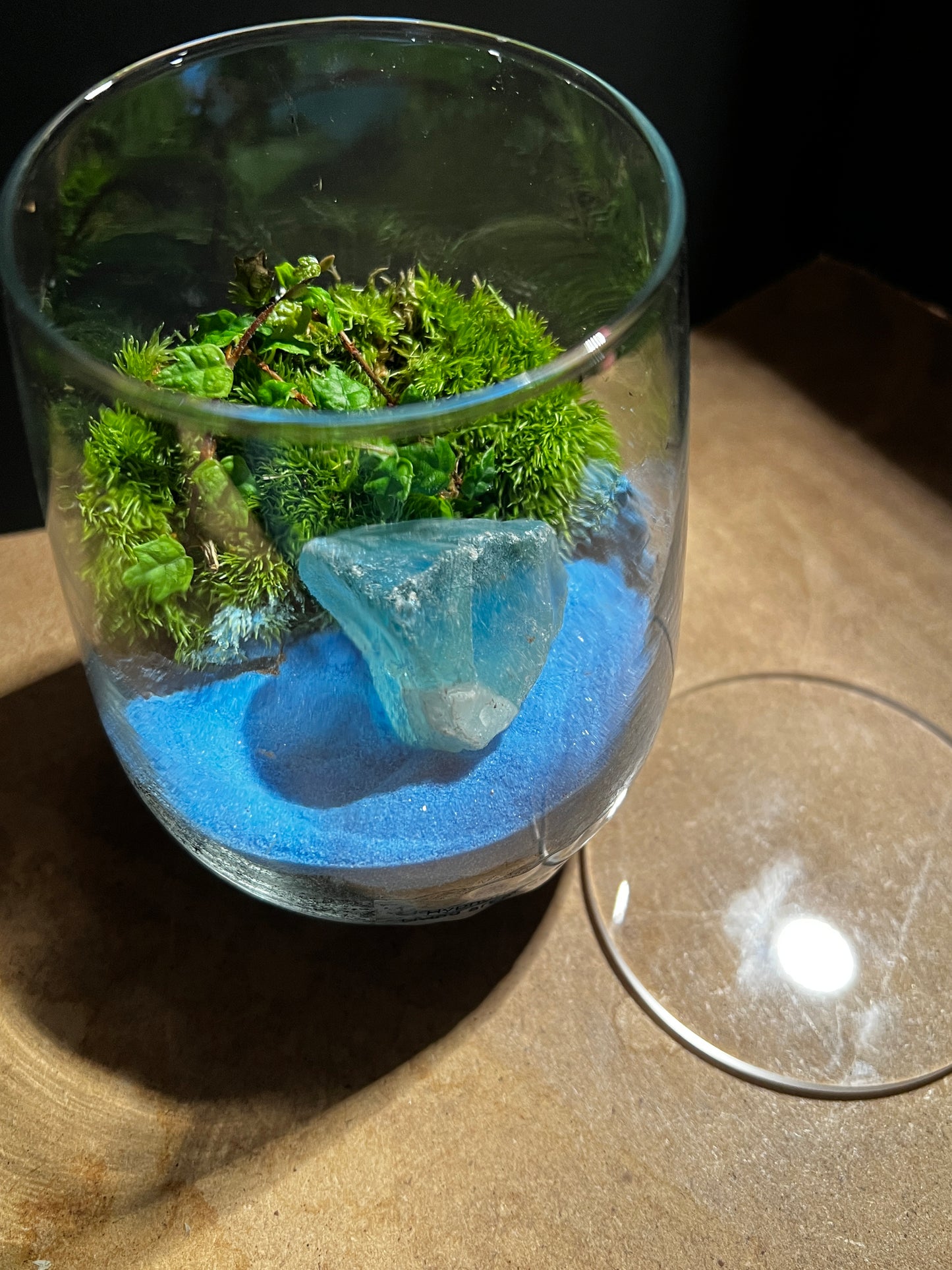 Terrarium 894