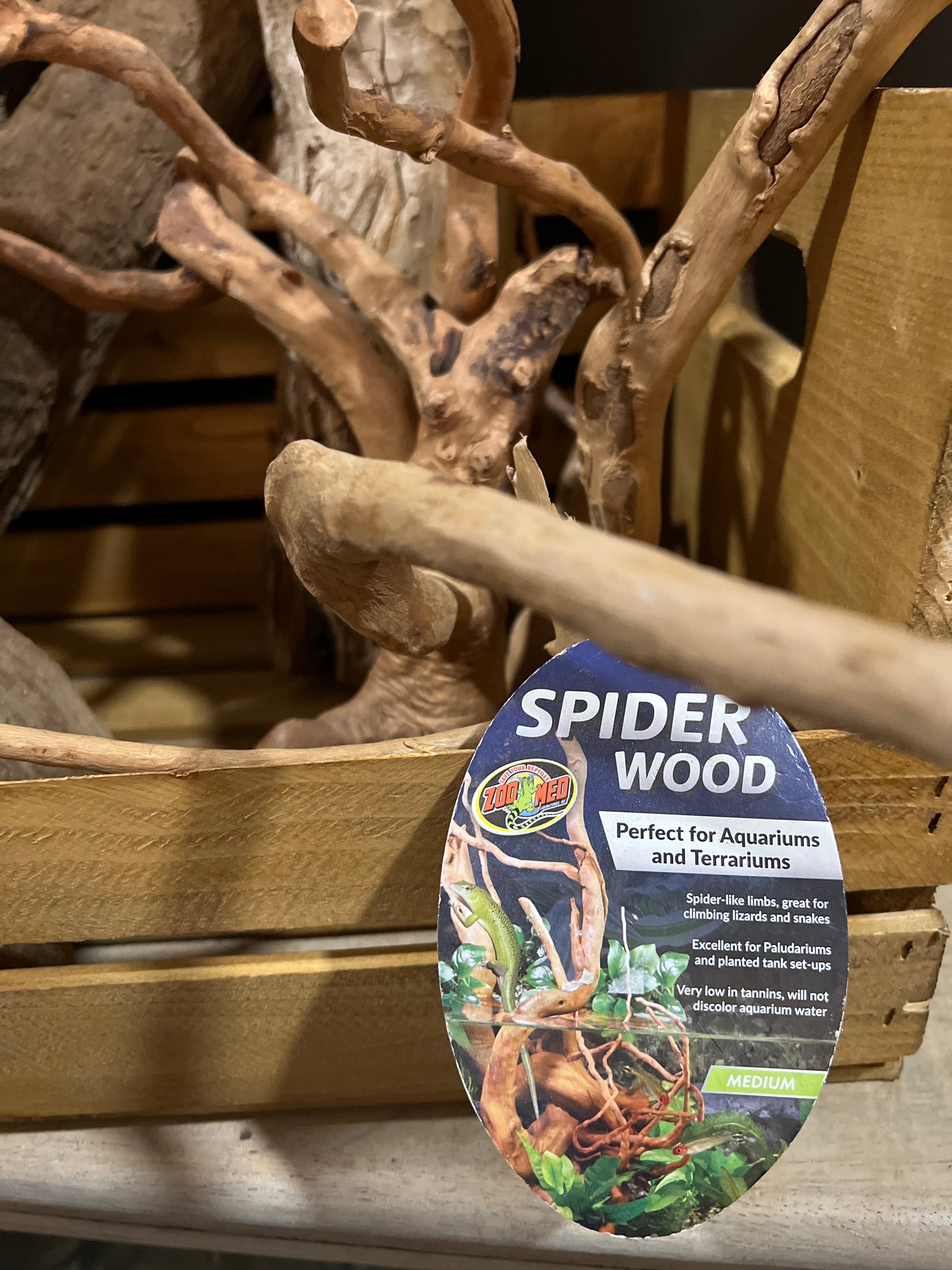 Spider/Cypress/Drift Wood